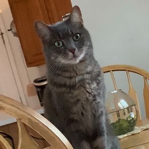 Meet your Posher, Bradley